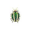 Tortoise Beetle Embroidered Pin