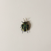 Tortoise Beetle Embroidered Pin