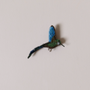 Tropical Hummingbird Embroidered Pin