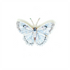 White Morpho Butterfly Embroidered Pin