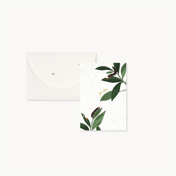 Butterfly For You Note Card