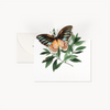 Butterfly For You Note Card
