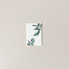 Butterfly For You Note Card