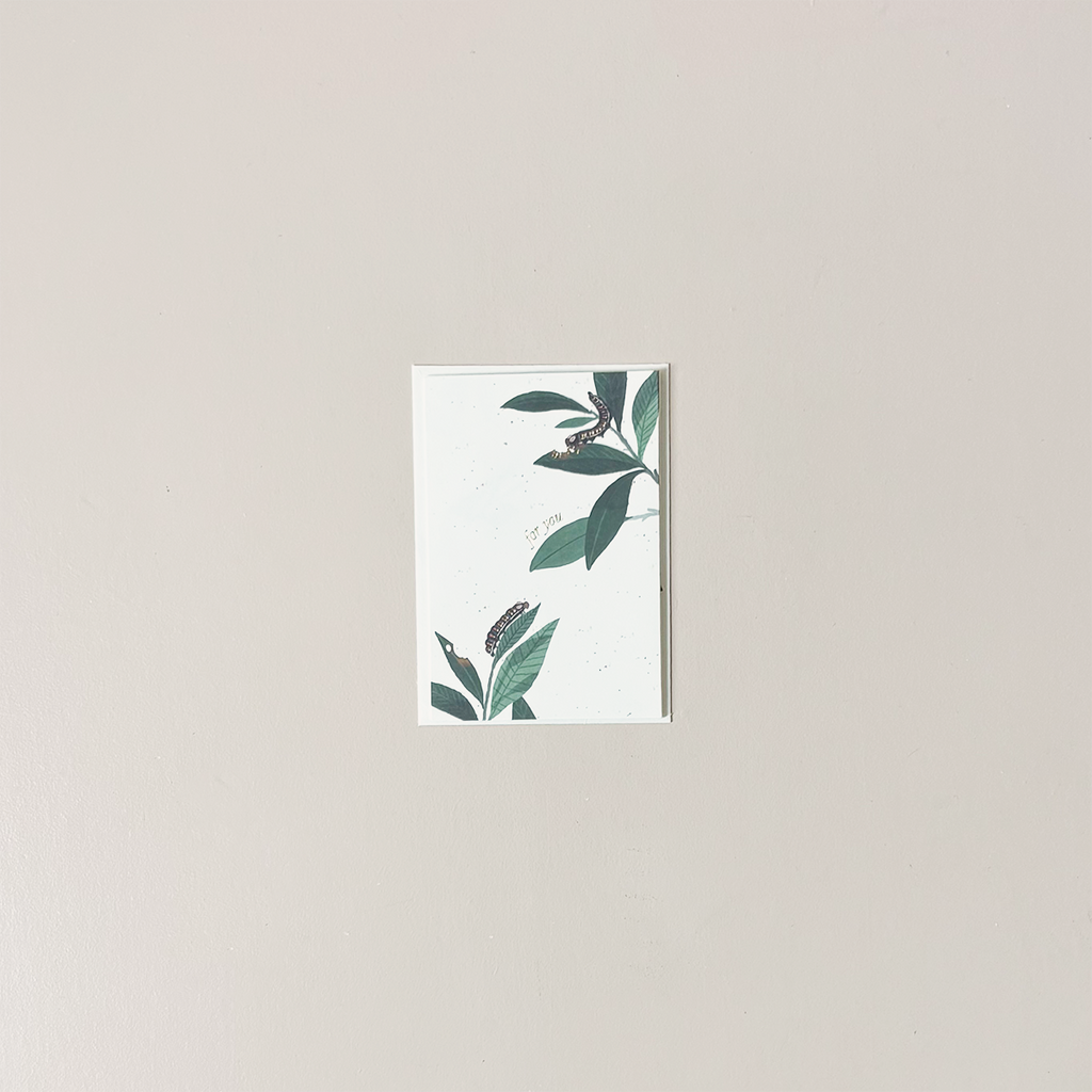 Butterfly For You Note Card