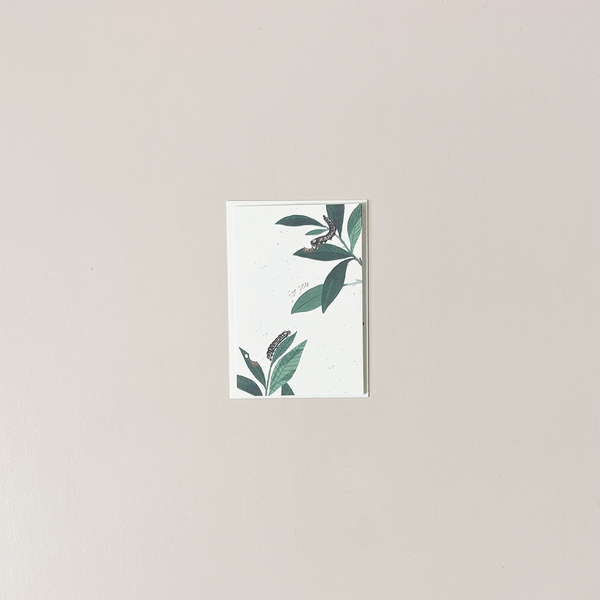 Butterfly For You Note Card