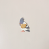 Messenger Pigeon Note Card