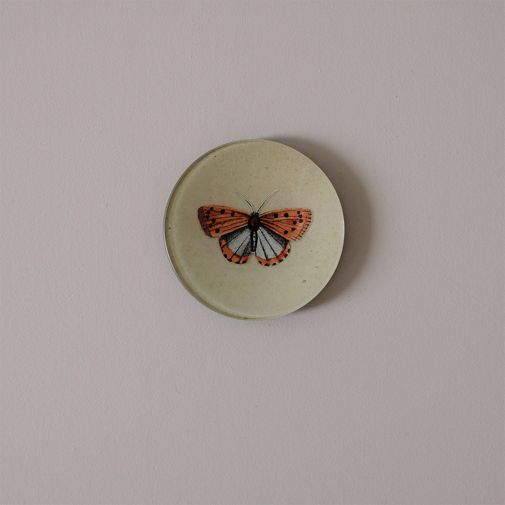 4" Round Dish, Coral Butterfly