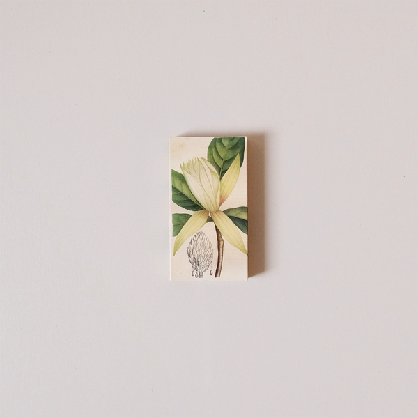 Magnolia Matches