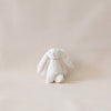 Bashful Bunny Cream