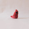 Birdling Cardinal