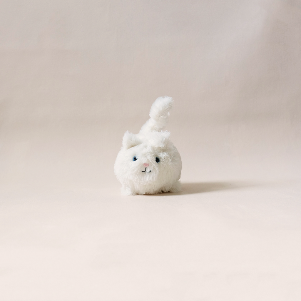 Kitten Caboodle White