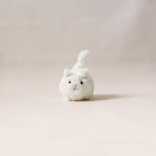 Kitten Caboodle White