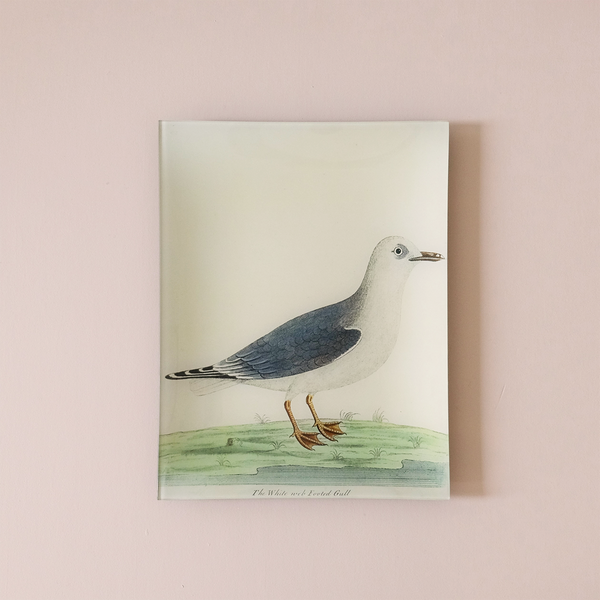 10"x13" Rectangle Dish, White Web Footed Gull #55