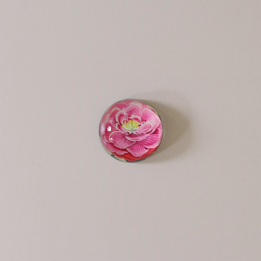 Dome Paperweight, Camellia