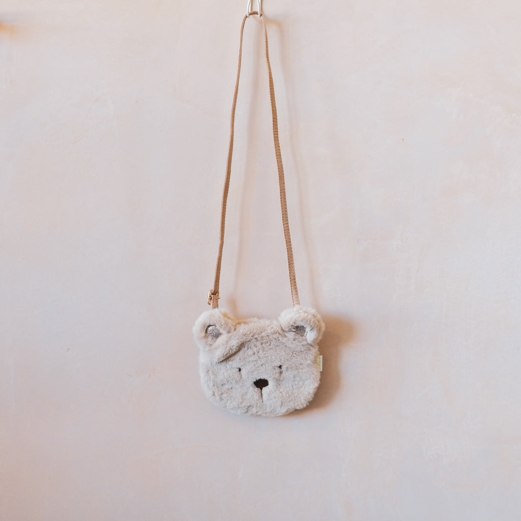 Teddy Bear Bag