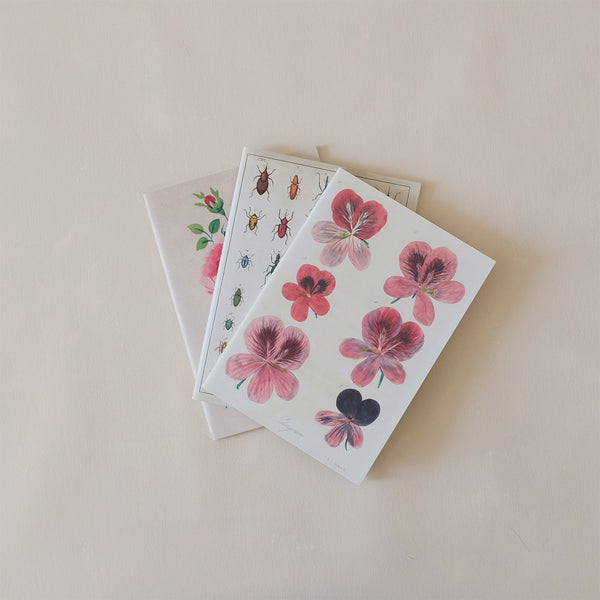 In The Garden Notebooks
